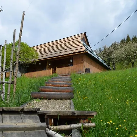 Casa de hóspedes гуцульська спадщина 3*