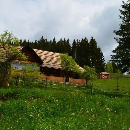 Casa de hóspedes гуцульська спадщина