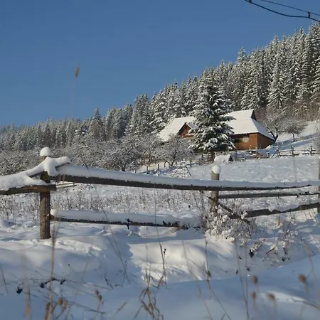 гуцульська спадщина Guest house
