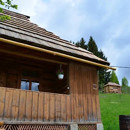 гуцульська спадщина Guest house